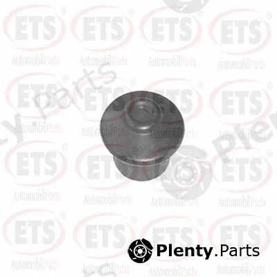 ETS 31.EM.903 — Mounting, engine