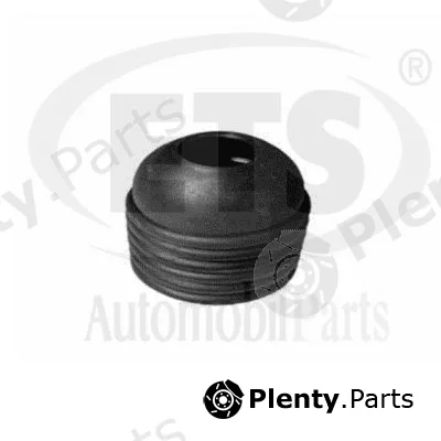 ETS 31.SK.248 — Bellow, drive shaft