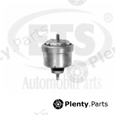 ETS 19.ST.917 — Mounting, engine