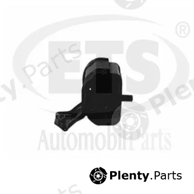 ETS 06.ST.060 — Mounting, engine