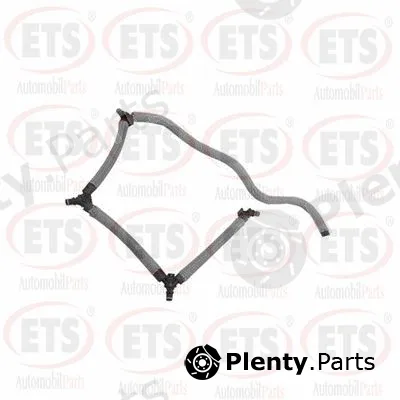 ETS 06.FP.300 — Fuel Hose