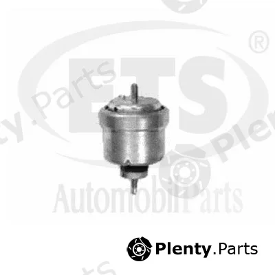 ETS 19.ST.918 — Mounting, engine