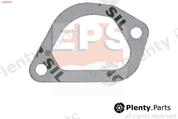 EPS 1.890.507 — Seal, thermostat Made in Italy - OE Equivalent