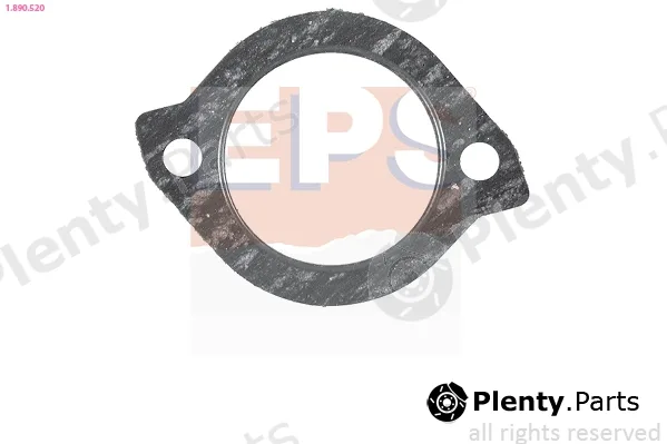 EPS 1.890.520 — Seal, thermostat Made in Italy - OE Equivalent