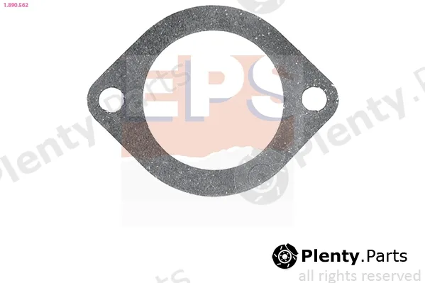 EPS 1.890.562 — Seal, thermostat Made in Italy - OE Equivalent