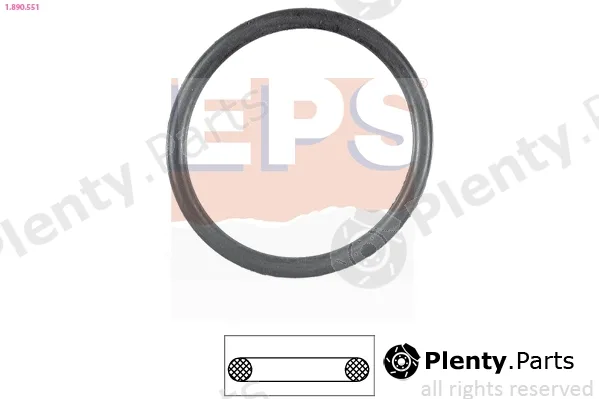EPS 1.890.551 — Seal, thermostat Made in Italy - OE Equivalent