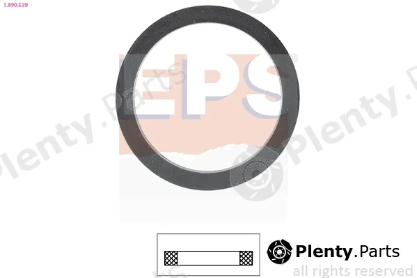 EPS 1.890.539 — Seal, thermostat Made in Italy - OE Equivalent