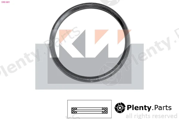 KW 590681 — Seal, thermostat Made in Italy - OE Equivalent