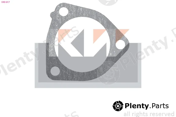 KW 590617 — Seal, thermostat Made in Italy - OE Equivalent