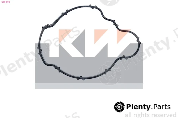 KW 590739 — Seal, thermostat Made in Italy - OE Equivalent