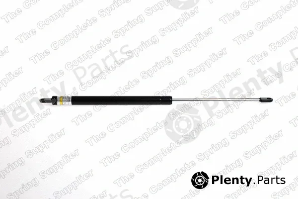 ROC GS0113 — Gas Spring, bonnet