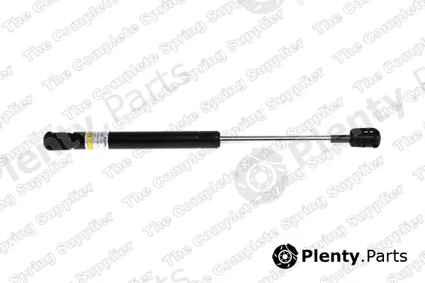 ROC GS0829 — Gas Spring, boot/cargo area