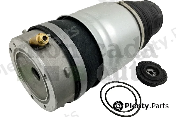 Montcada 0296060 — Air Suspension Strut