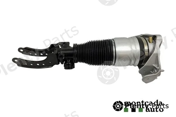 Montcada 0296920 — Air Suspension Strut