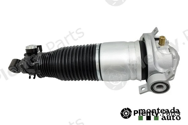 Montcada 0296950 — Air Suspension Strut