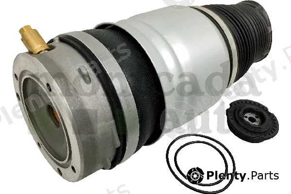 Montcada 0296050 — Air Suspension Strut