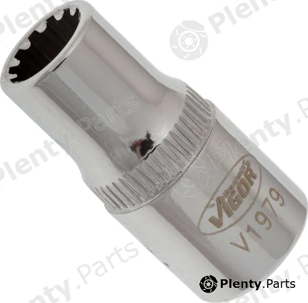 Socket Wrench Insert