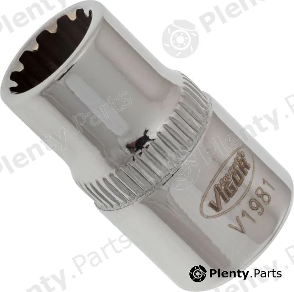 Socket Wrench Insert