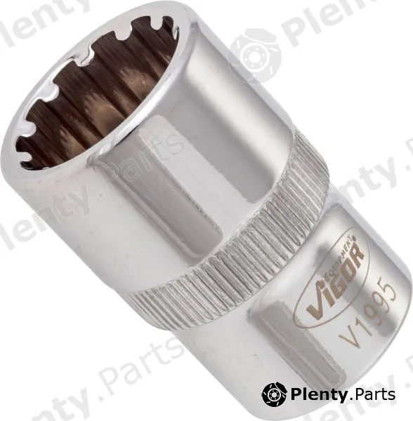 Socket Wrench Insert