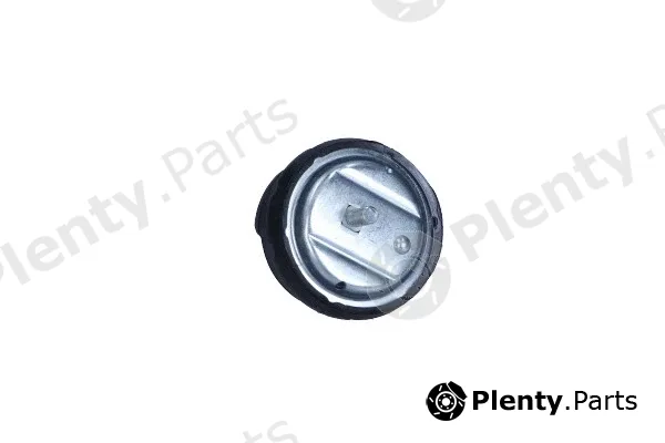 Maxgear 40-0525 — Mounting, engine
