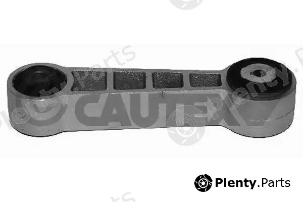Cautex 021404 — Mounting, engine