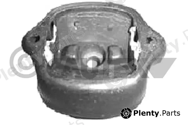 Cautex 767237 — Mounting, engine