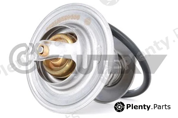 Cautex 774605 — Thermostat, coolant