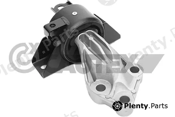 Cautex 760127 — Mounting, engine