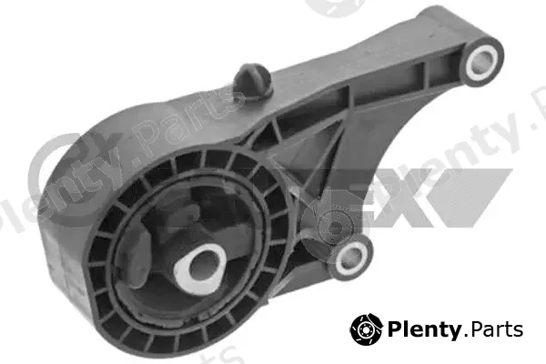 Cautex 482530 — Mounting, engine