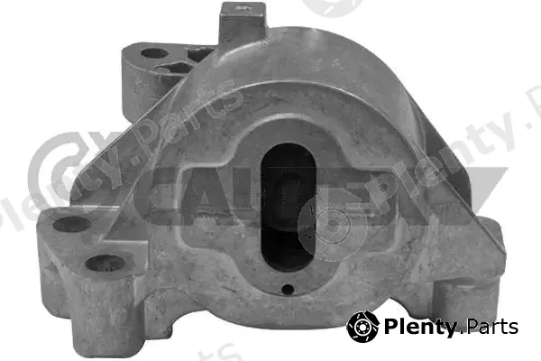 Cautex 031494 — Mounting, engine