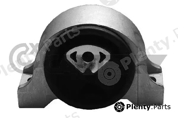 Cautex 031126 — Mounting, engine