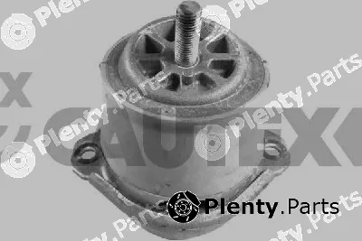 Cautex 772206 — Mounting, engine