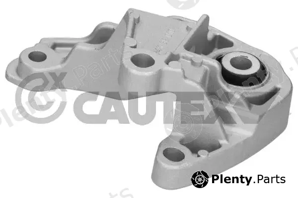 Cautex 774639 — Mounting, engine