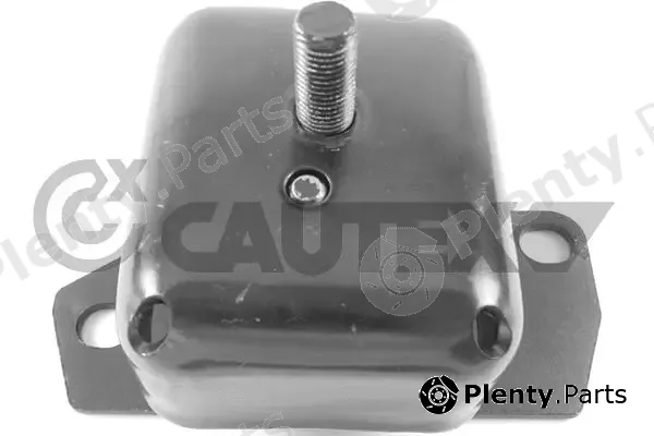Cautex 766861 — Mounting, engine
