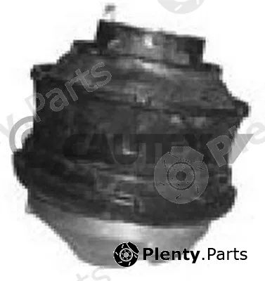 Cautex 756446 — Mounting, engine
