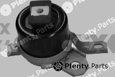 Cautex 774875 — Mounting, engine