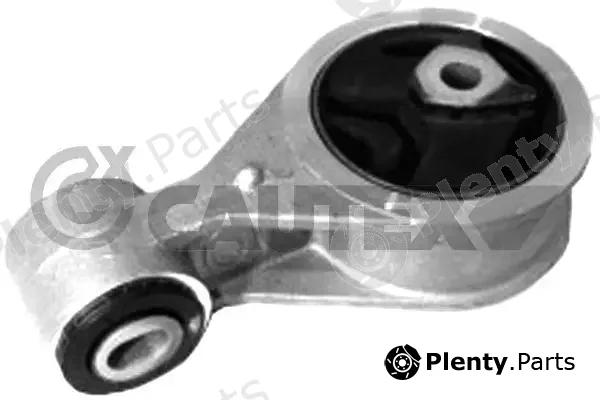 Cautex 769335 — Mounting, engine