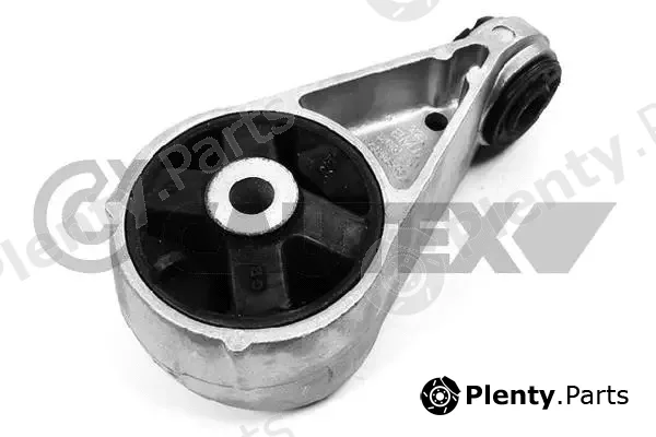 Cautex 201558 — Mounting, engine