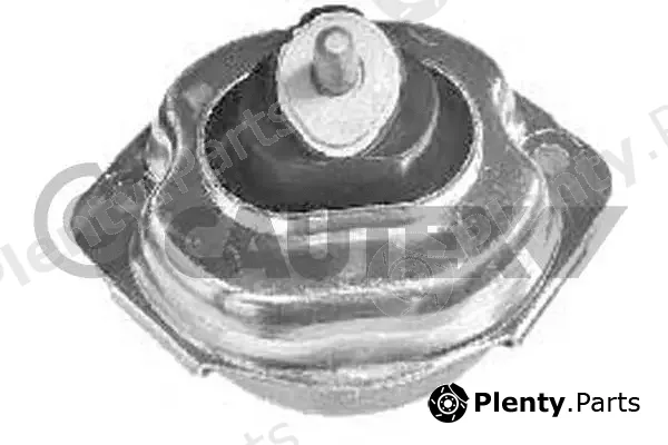 Cautex 769969 — Mounting, engine