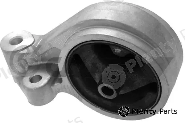 Cautex 766897 — Mounting, engine