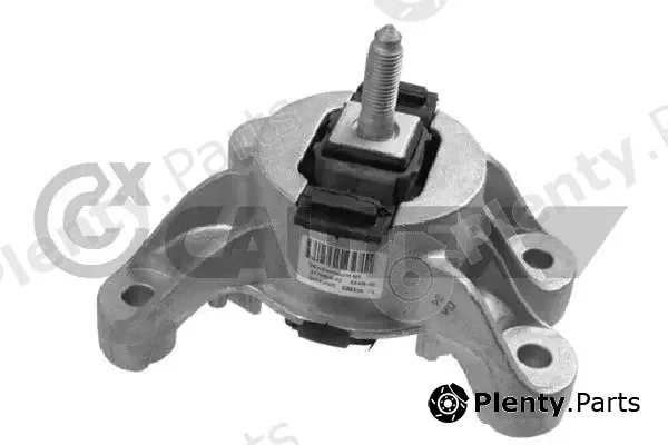 Cautex 756057 — Mounting, engine