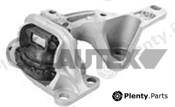 Cautex 756255 — Mounting, engine