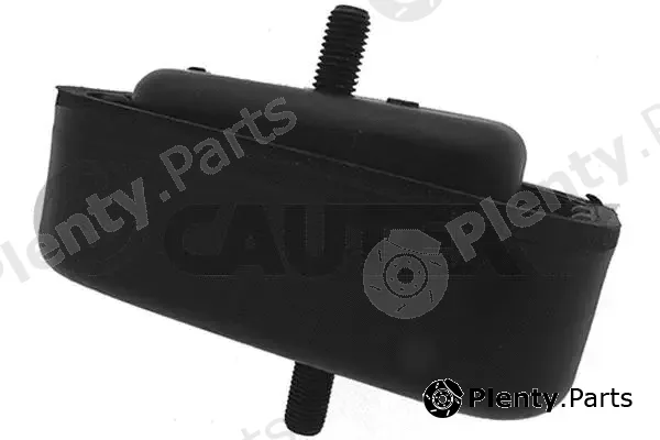 Cautex 756422 — Mounting, engine