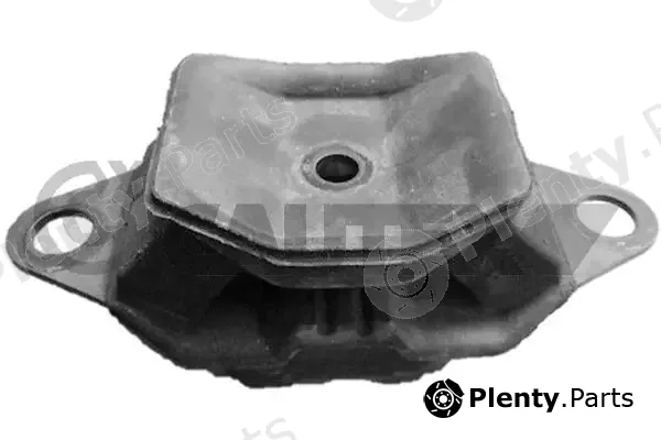 Cautex 759305 — Mounting, engine