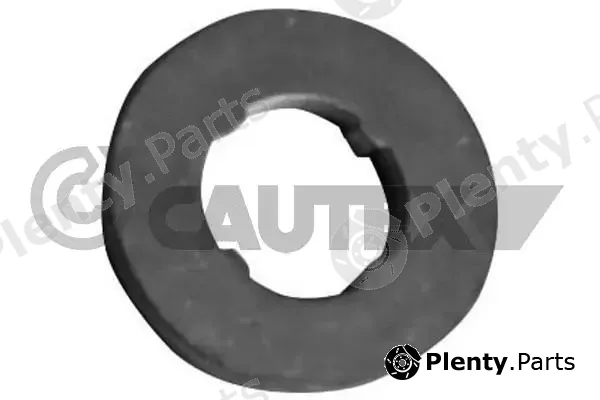 Cautex 750031 — Seal Ring, injector