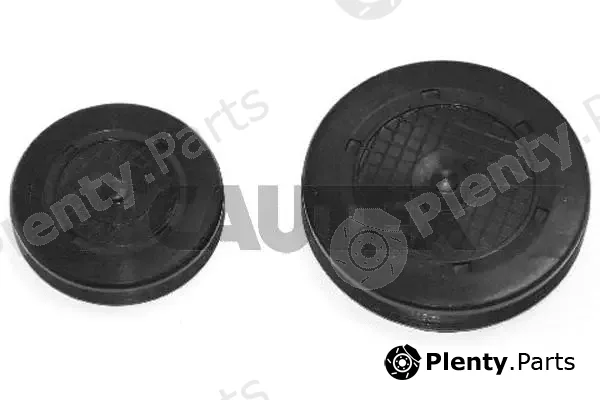 Cautex 020545 — Plug, rocker arm shaft mounting bore