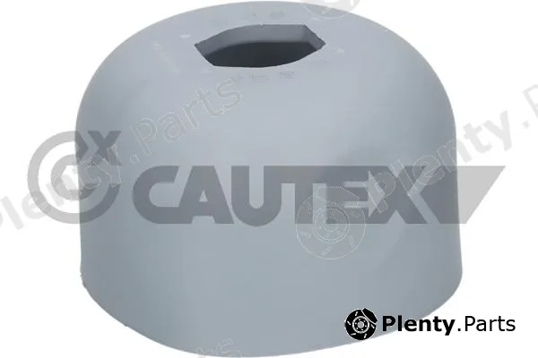 Cautex 776490 — Mounting, engine