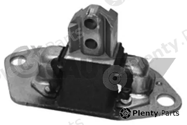 Cautex 756316 — Mounting, engine