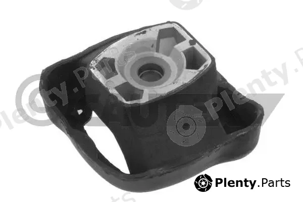 Cautex 766946 — Mounting, engine