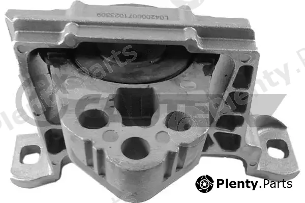 Cautex 760368 — Mounting, engine